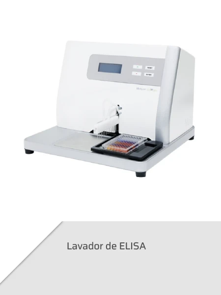 Chagatek Elisa Total